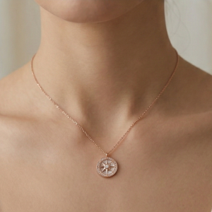 AGOR 925 Sterling Silver Compass Pendant Necklace Rose Gold Plated Jewellery for Women