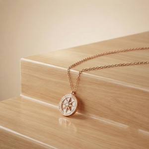 AGOR 925 Sterling Silver Compass Pendant Necklace Rose Gold Plated Jewellery for Women