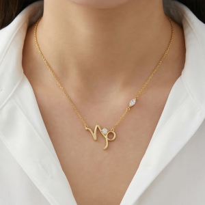 AGOR 925 Sterling Silver Gold Plated Capricorn Zodiac Pendant Necklace Women's Jewellery