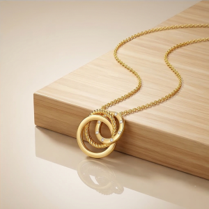 AGOR 925 Sterling Silver Gold Plated Interlocking Rings Pendant Necklace Jewellery for Women