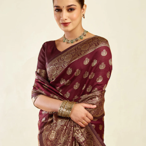 AXONIT Women's Silk Blend Banarasi Jacquard