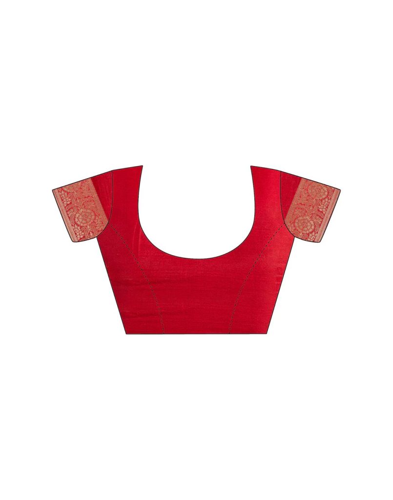 AXONIT Women's Silk Blend Banarasi Jacquard