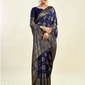 AXONIT Women's Silk Blend Banarasi Jacquard