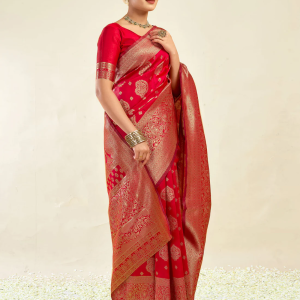 AXONIT Women's Silk Blend Banarasi Jacquard