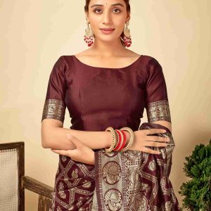AXONIT Women's Silk Blend Banarasi Jacquard