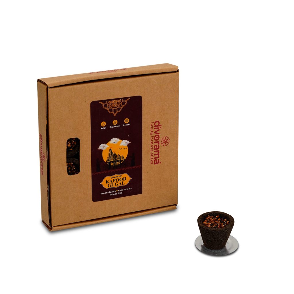 DivoRama Premium Kapoor & Gugal | Sambrani Havan/Dhoop Cups | Pooja, Festivals & all Occasions | Natural |12 Cups