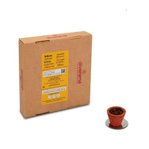 DivoRama Premium Pavitra Chandan/Sandal | Sambrani Havan/Dhoop Cups | Pooja & Festivals | Natural | 12 Cups