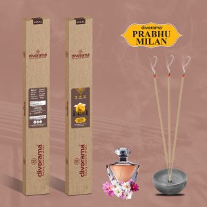 DivoRama Premium Prabhu Milan Incense Sticks - Sweet Floral Fragrance-16" long-lasting Aroma Agarbatti to fill every corner with a Spiritual Vibe this Festive Season - 10 Sticks/Pack