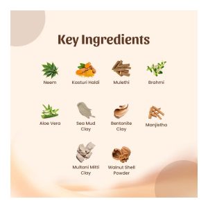 Neel Ayurvedics Herbal Powder Facewash