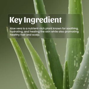 Neel Ayurvedics Aloevera Gel - 250 gm