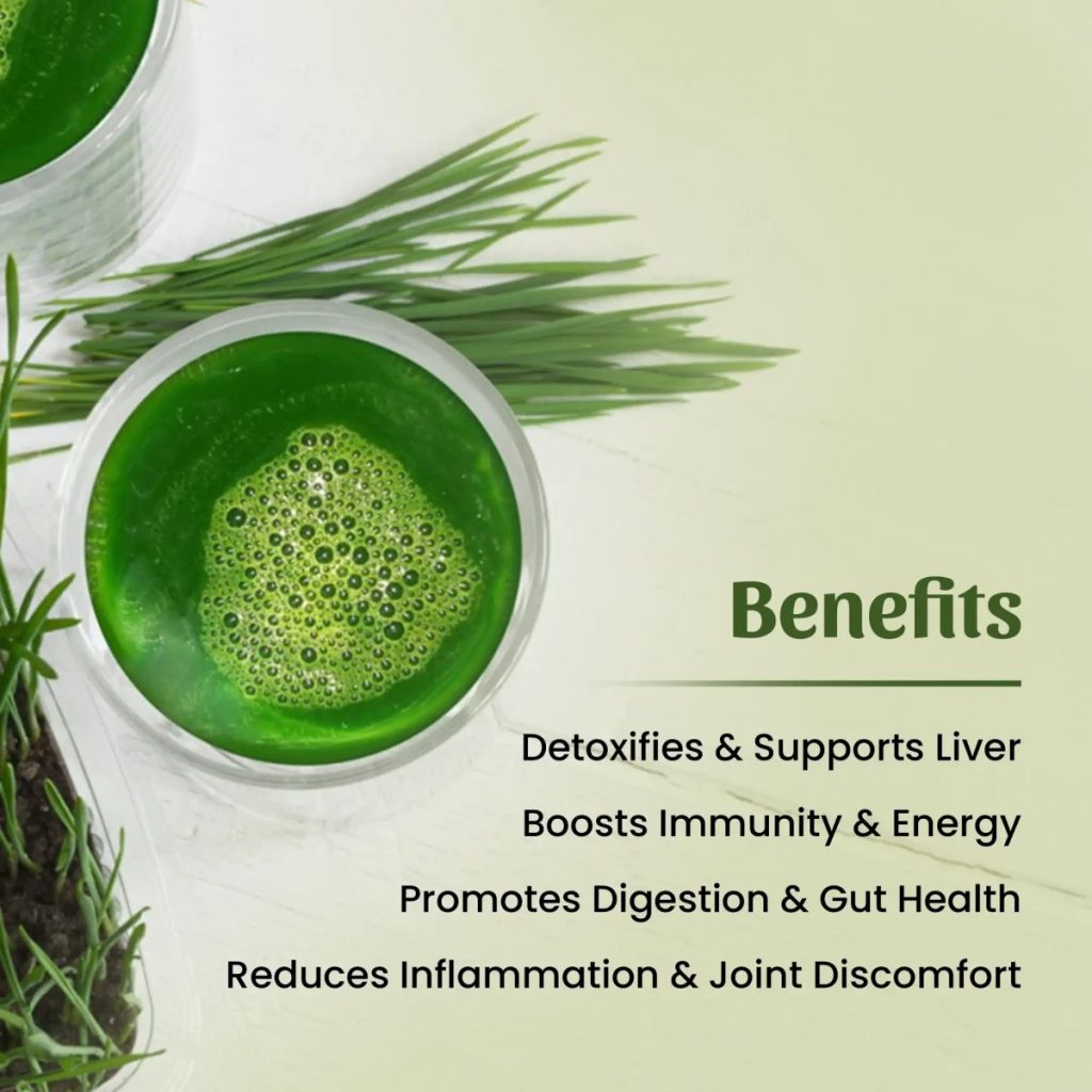 Neel Ayurvedics Wheatgrass Powder - 50 gm