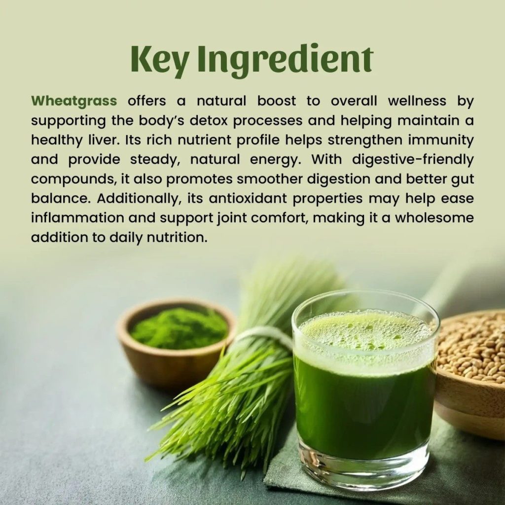 Neel Ayurvedics Wheatgrass Powder - 50 gm