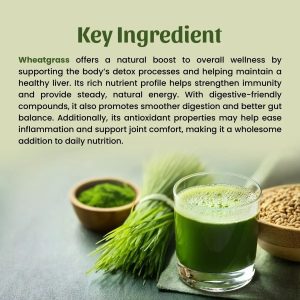 Neel Ayurvedics Wheatgrass Powder - 50 gm