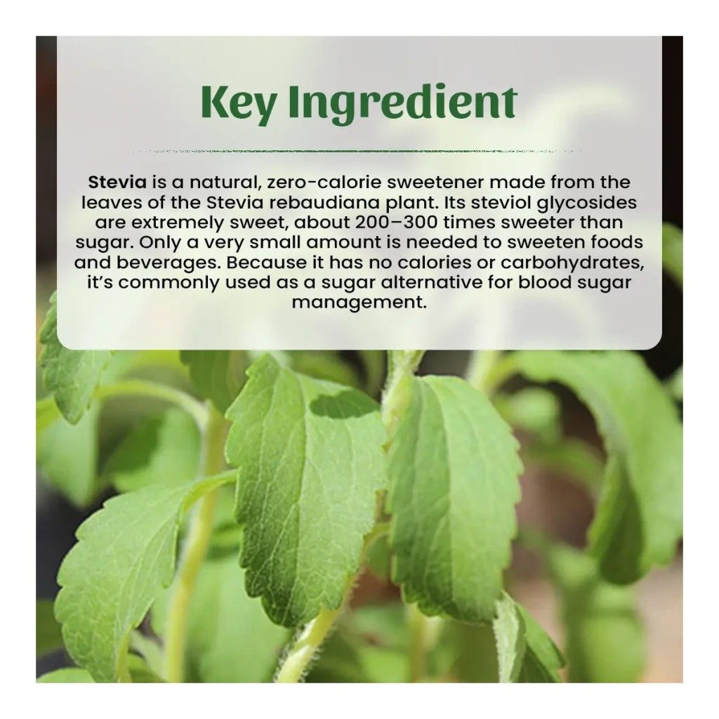 Neel Ayurvedics Stevia Powder - 500 gm