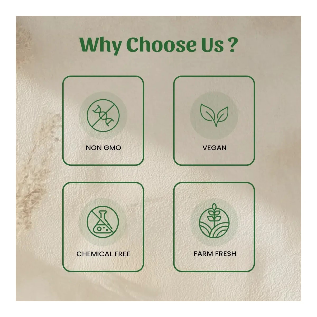 Neel Ayurvedics Stevia Powder - 250 gm